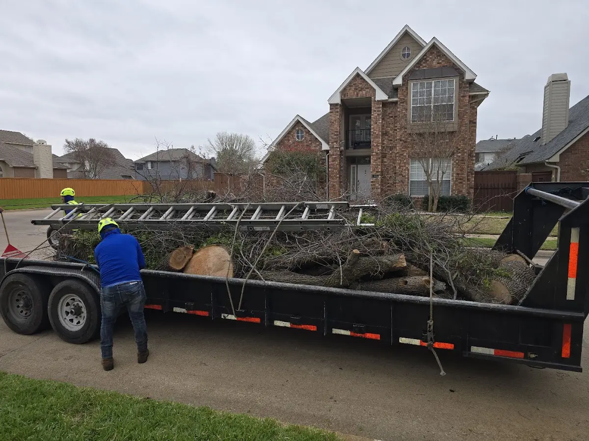 Expert Tree Pest Control with proper safety equipment in Cresco